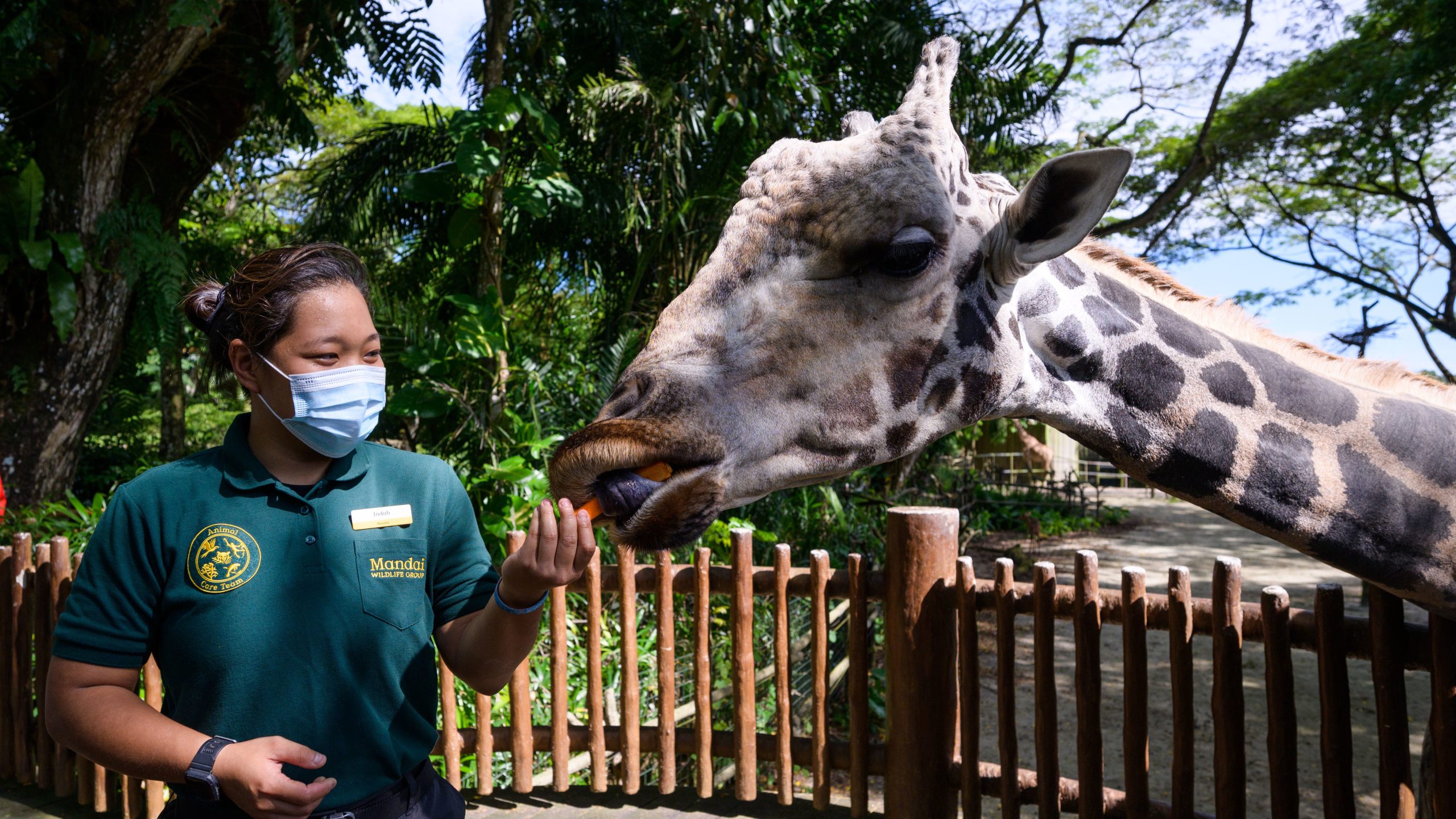 Singapore’s River Safari renamed in new Mandai Wildlife Group rebranding