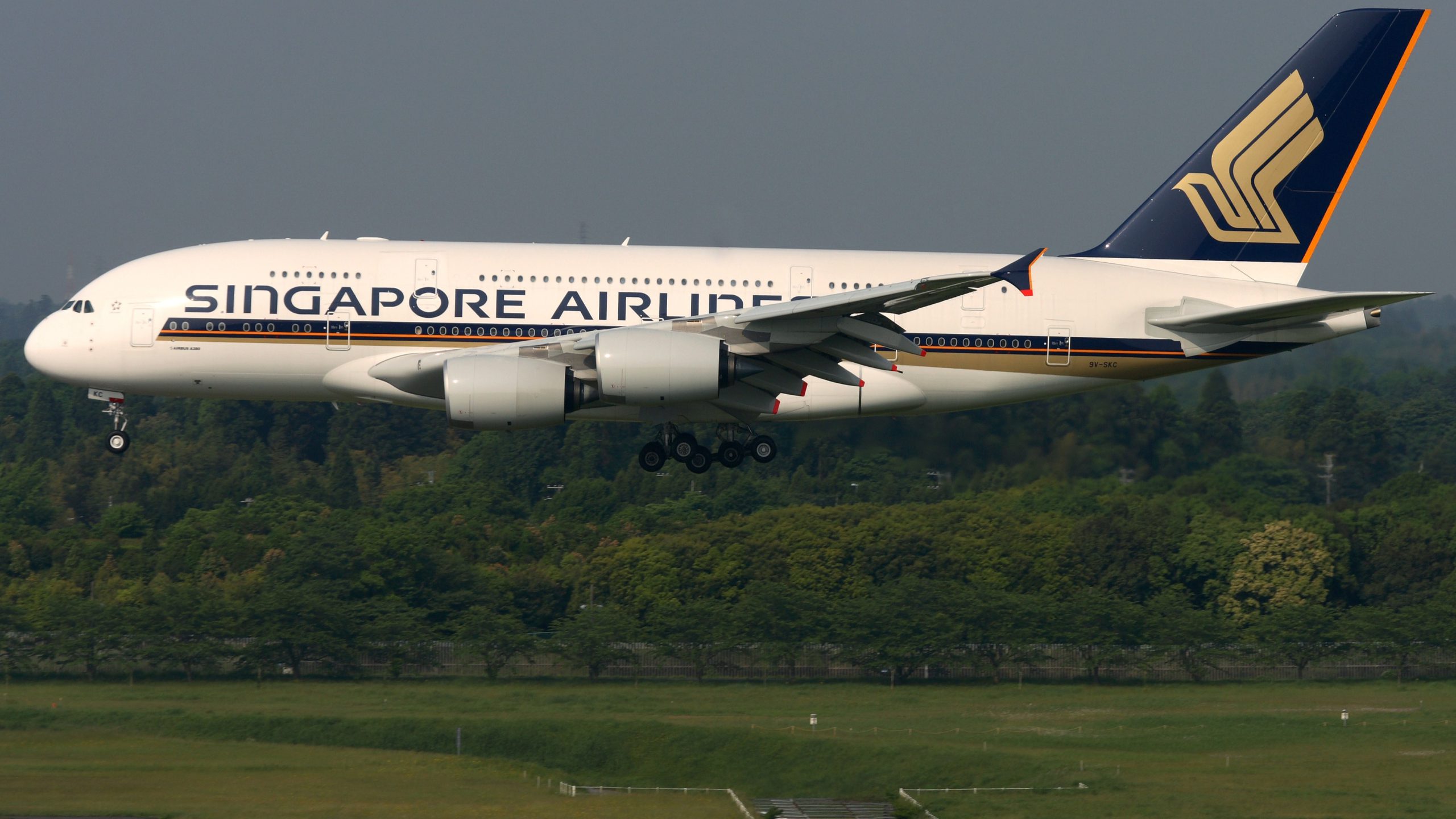 Singapore Airlines, Scoot set to resume passenger services to India from November 29