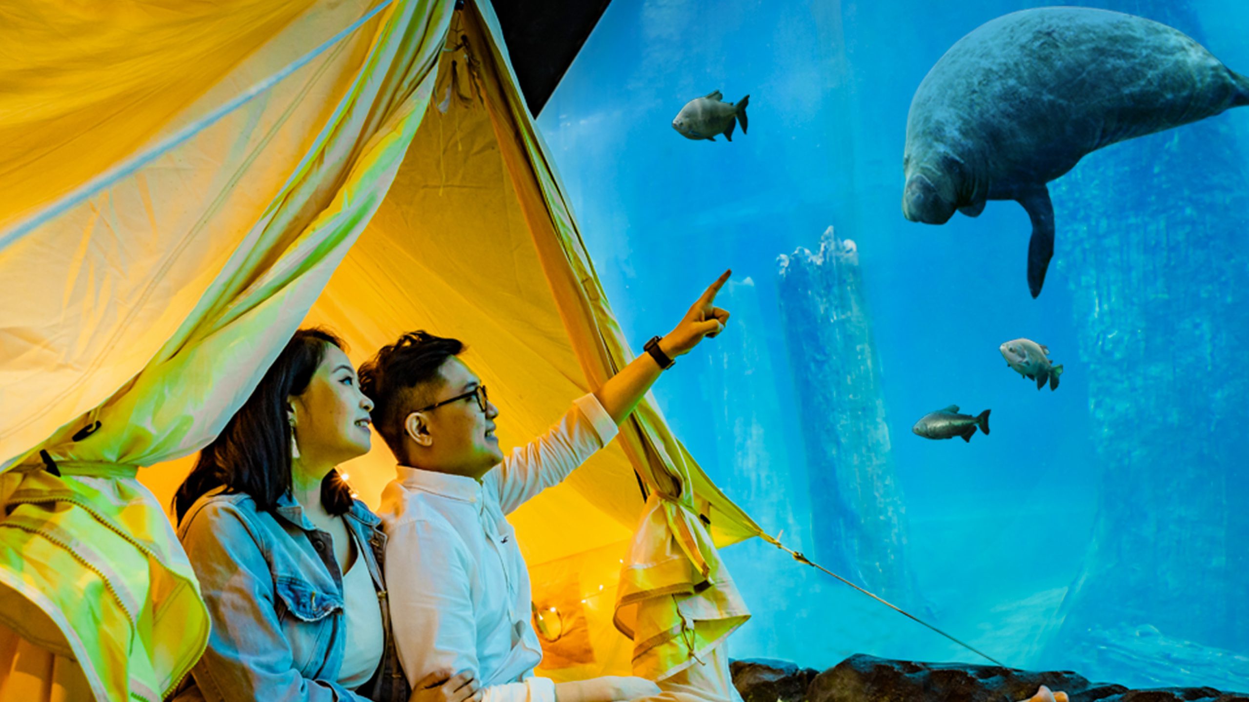 Experience staycations with flamingos in Jurong Bird Park, Singapore