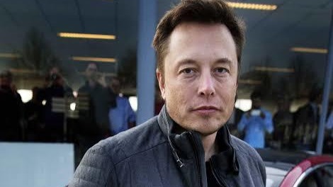 Musk named as Twitter’s sole director