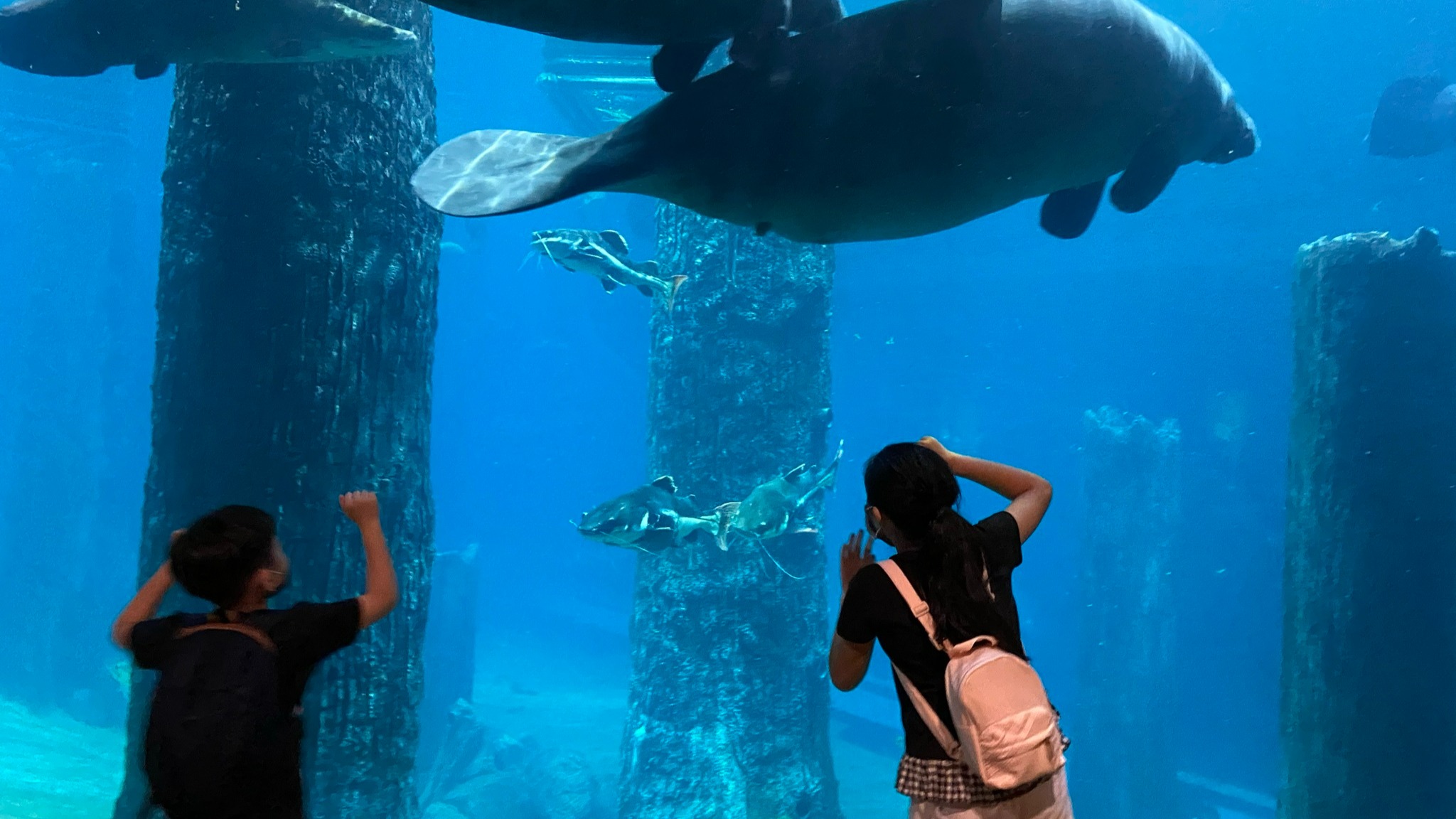 Spanking new Glamping in the Wild returns to Singapore Zoo from April 1