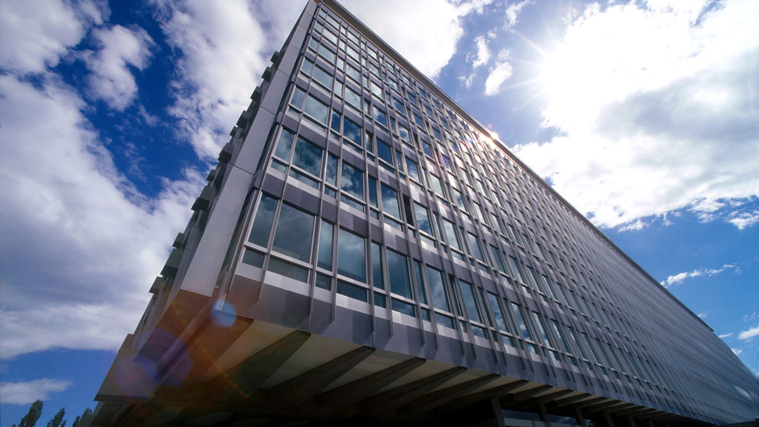 WHO asks China for transparency in sharing COVID original data