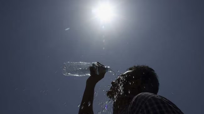Heat wave in India: 11 dead due to sunstroke at Maharashtra government award event