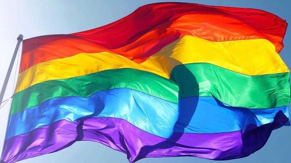 Same-sex marriage in India: Basic rights not subject to whims and vagaries of majority, says lesbian lawyer