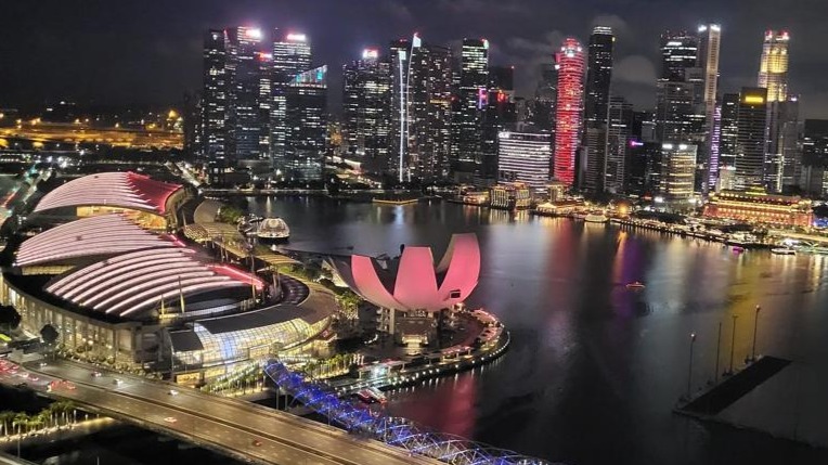 Singapore starts public opinion survey on more effective neighbour dispute management