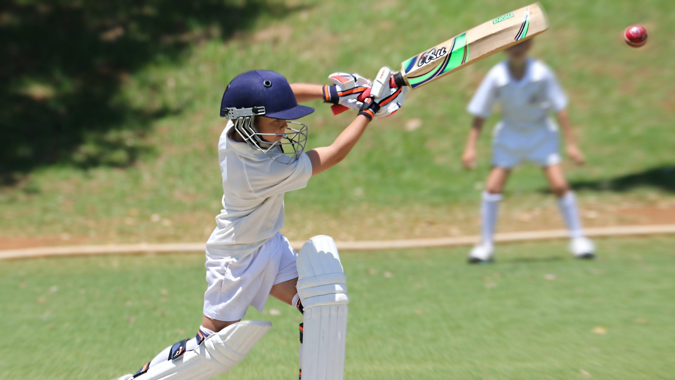 Here’s how cricket fans can get more involved in the action