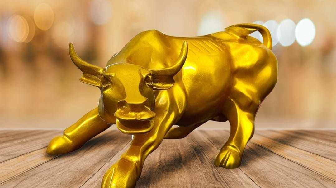 Sensex, Nifty hit lifetime high levels, driven by fresh foreign fund inflows