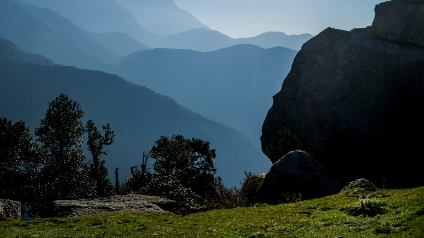 Himachal CM announces work plan to plant10,000 hectares of land under green initiatives