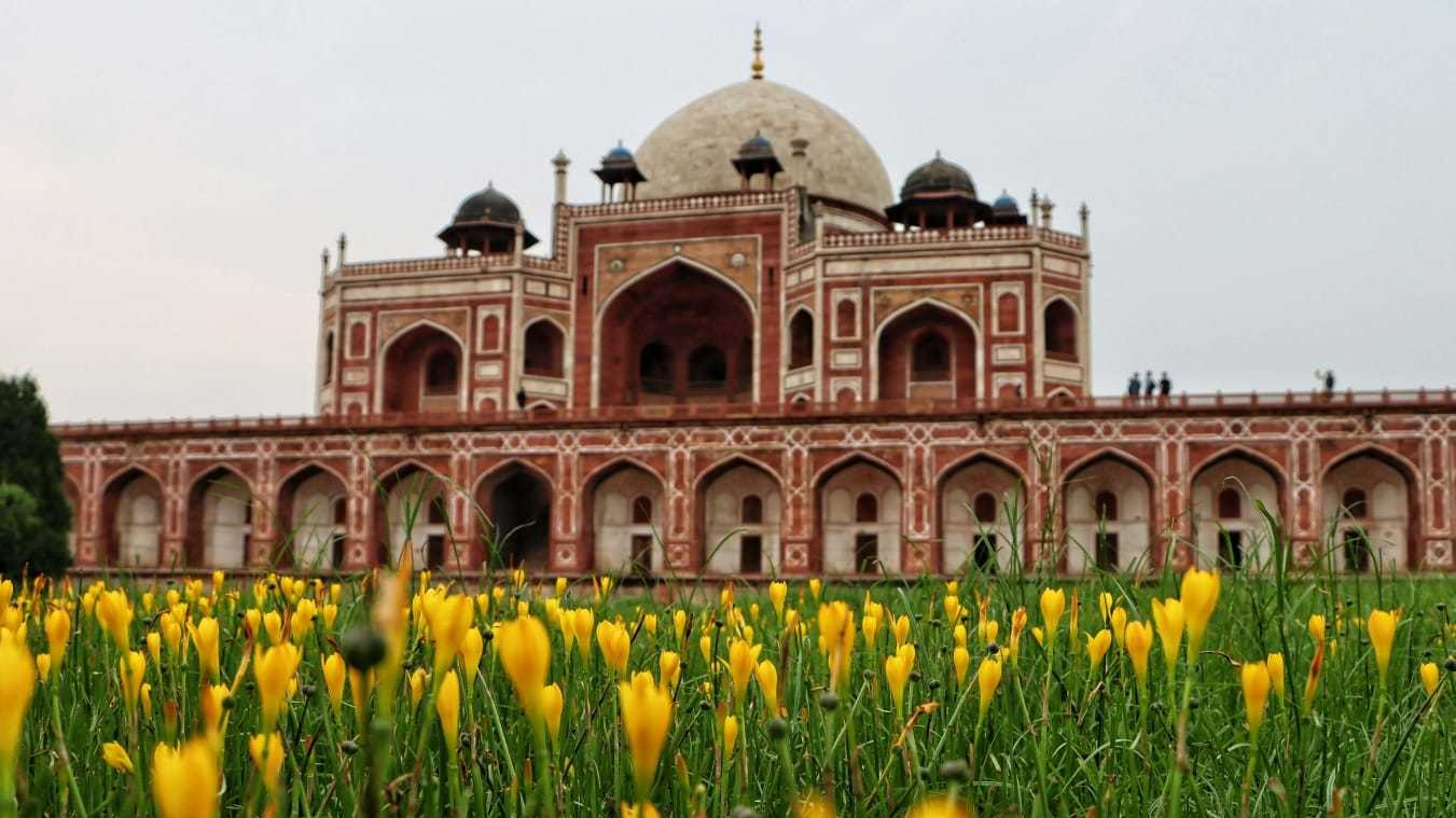 Fun Times in India This Summer