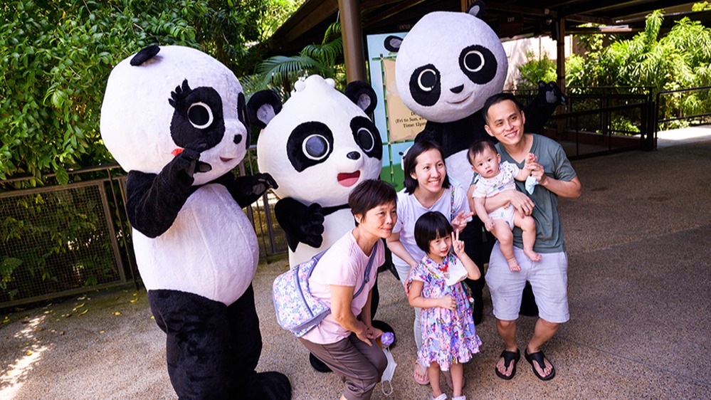 Giant panda Le Le at River Wonders to celebrate second birthday this August