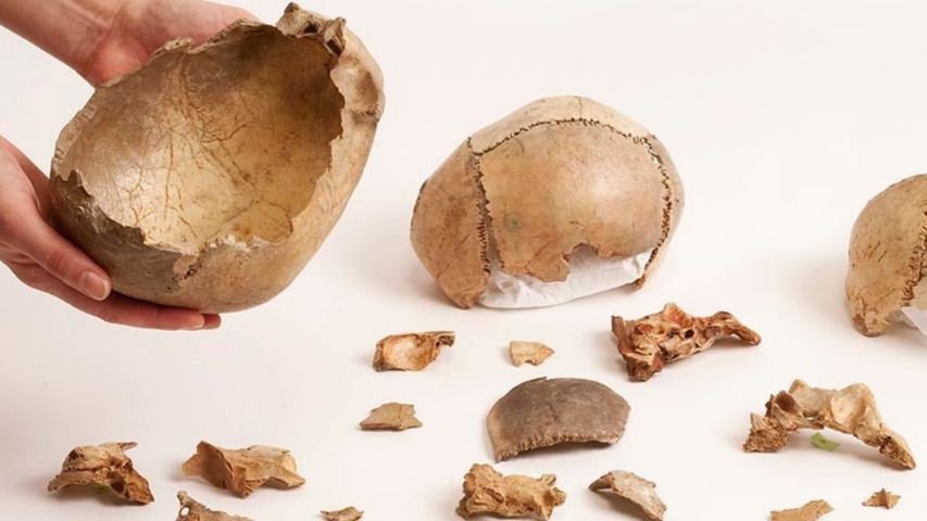 Cannibalism was common as a funerary practice in Europe around 15,000 years ago: Study