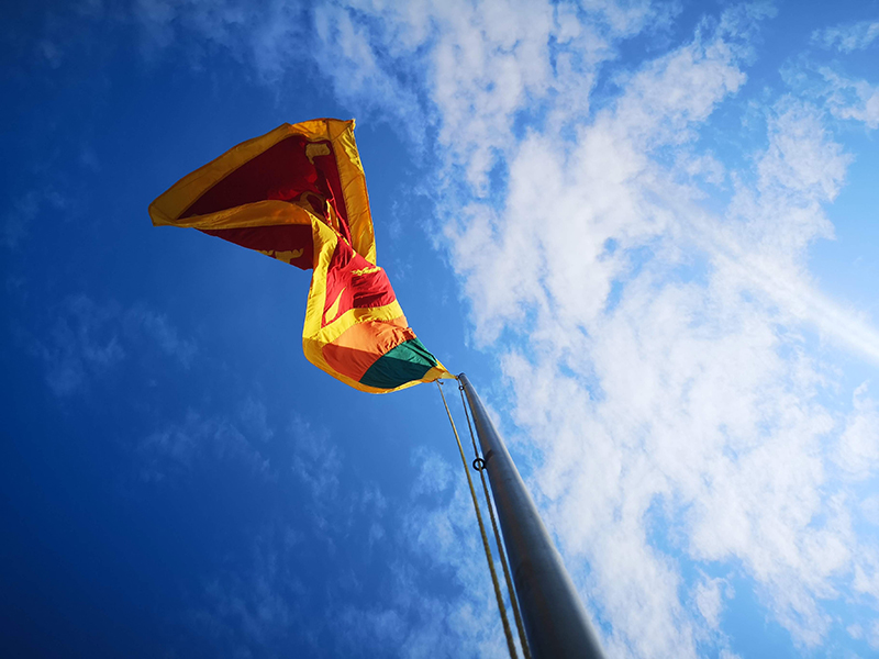Sports Minister sacks entire Sri Lanka Cricket board amid World Cup debacle, Arjuna Ranatunga-led interim committee formed