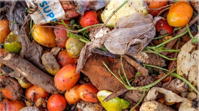 With 783 million people going hungry, a fifth of all food goes to waste: UN report