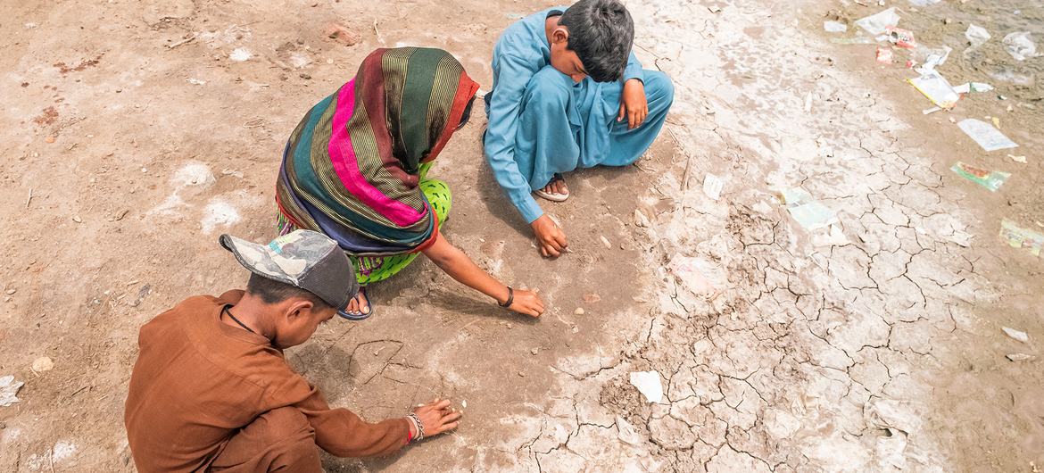 February witnessed more extreme heat and unusually high temperatures in both hemispheres