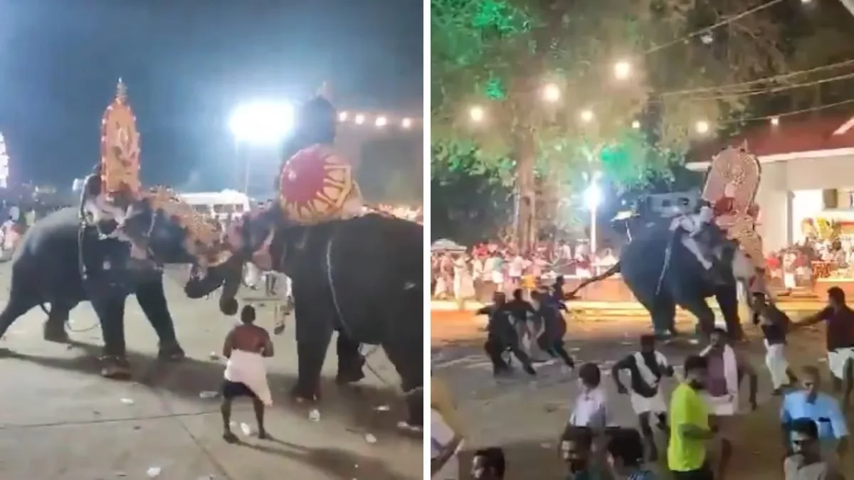 VIRAL: Chaos ensues after two elephants engage in violent confrontation during temple ritual in Southern India’s Kerala
