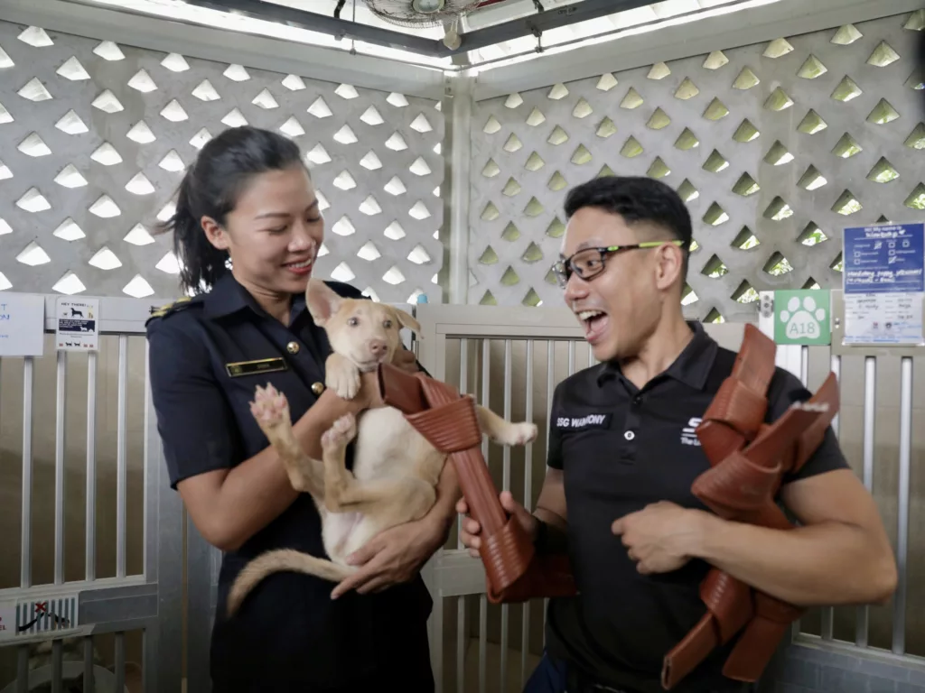 SCDF officers LTA Debra Lee and SSG Wan Rony play with an SPCA shelter pooch named Kimbap