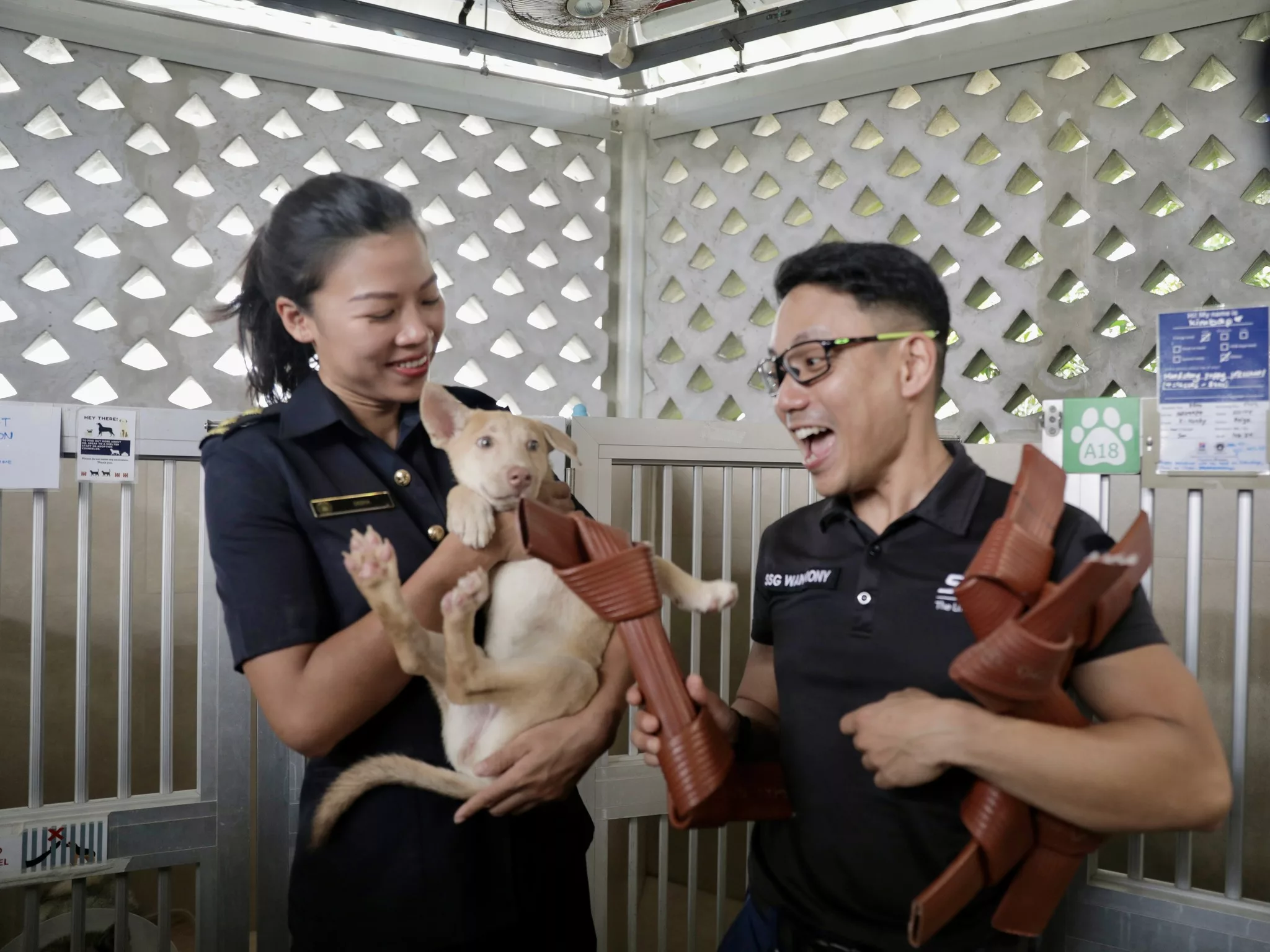 Singapore civil defence donates fire-hose chewy toys to SPCA for a “paw-some future”