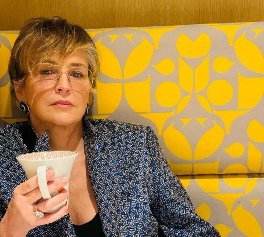 Basic Instinct actress Sharon Stone names Hollywood producer who wanted her to sleep with Billy Baldwin
