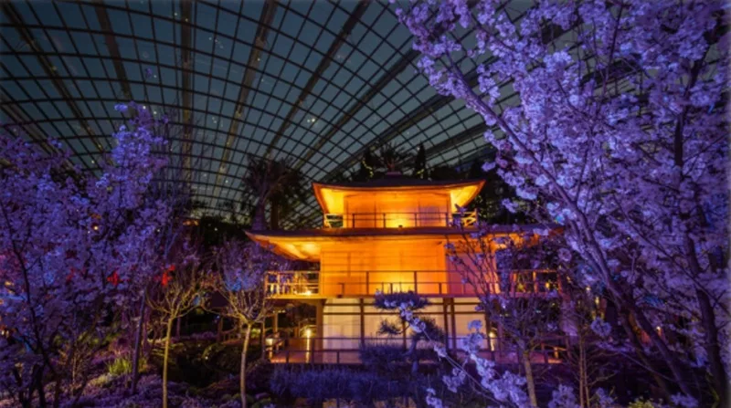 Gardens by the Bay’s Sakura floral display presents its first day-to-night experience for visitors