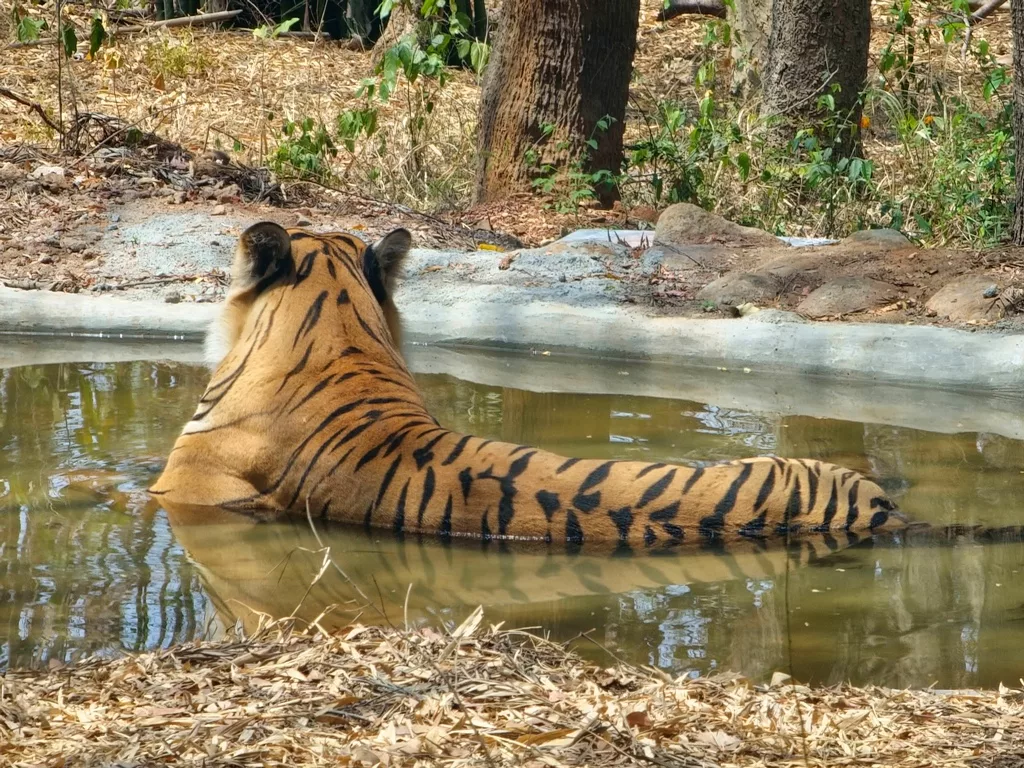 In Pics: Bannerghatta National Park