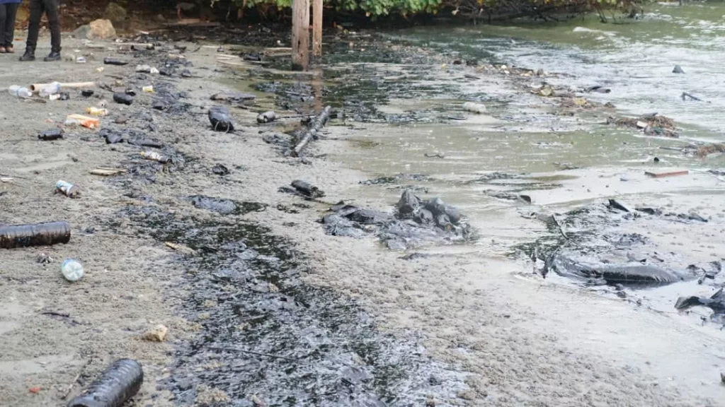 Polluted beach at Johor. Photo courtesy: www.facebook.com/YBNanan