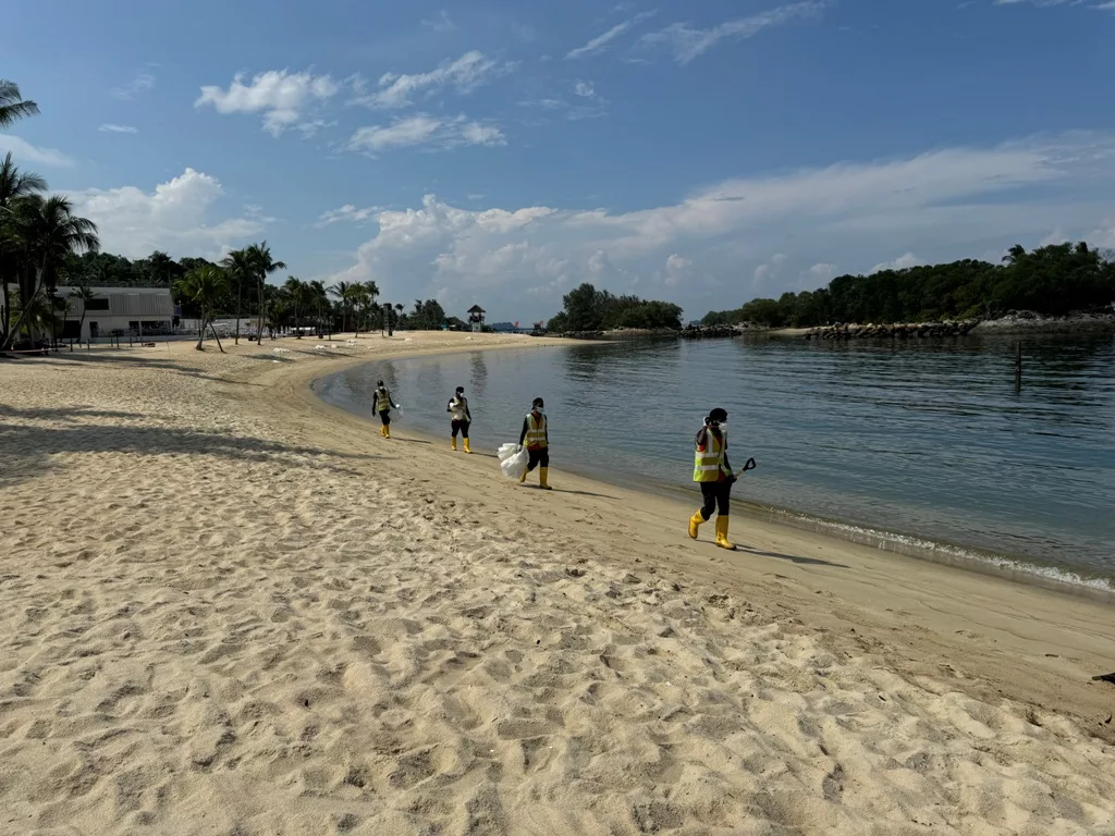 Workers at Siloso Beach. Photo courtesy: Sentosa Development Corporation.