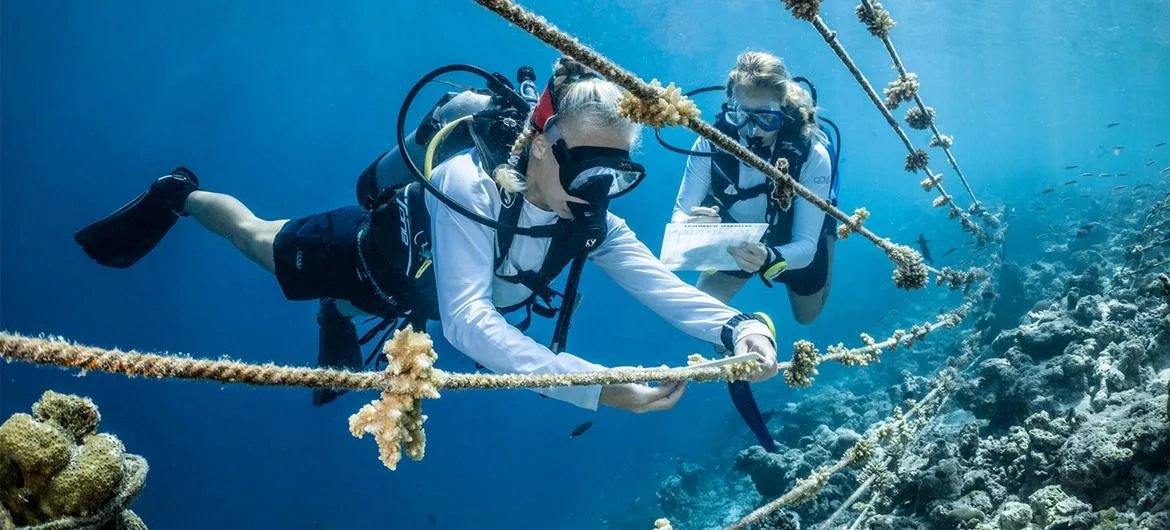 UN World Oceans Day observed