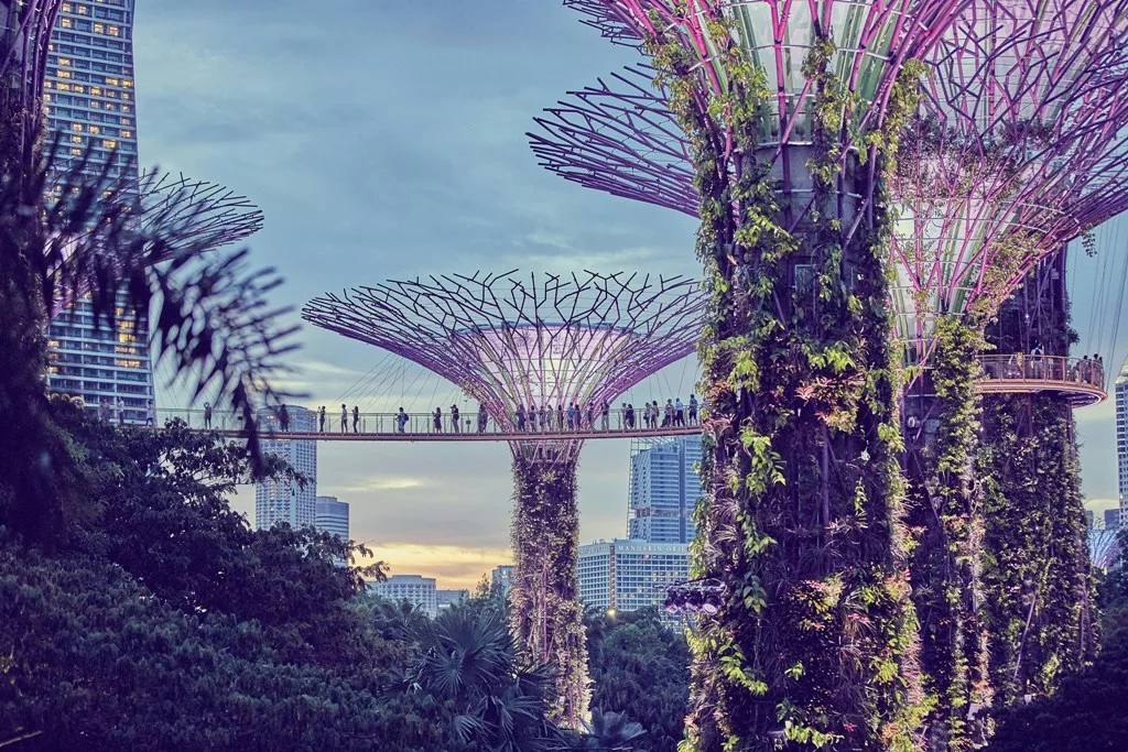 Singapore. Representational image. Photo courtesy: Unsplash