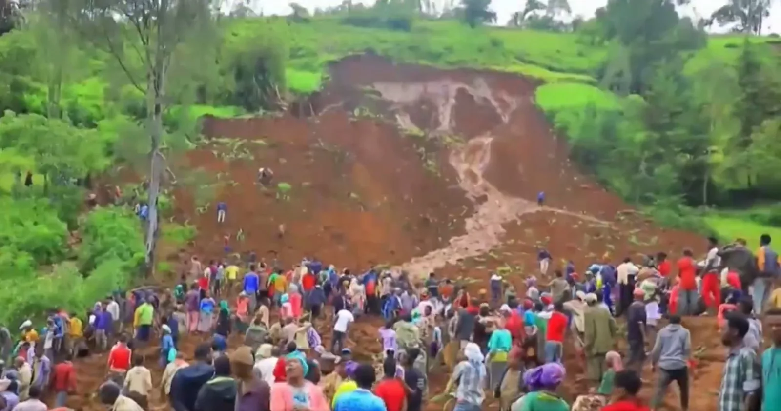 Ethiopia landslides kill 229, death toll expected to rise