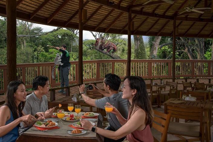 Breakfast in the Wild experience