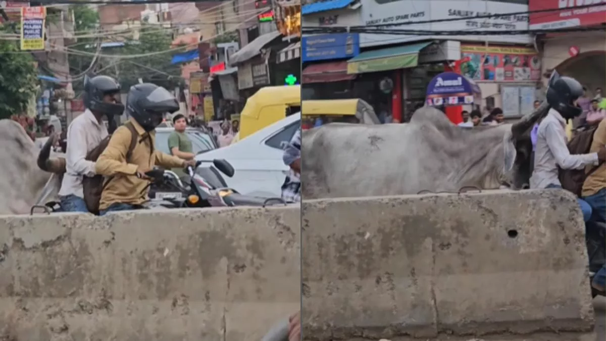 WATCH: Bull attacks bikers in Delhi, shooed away by locals usings sticks and utensils