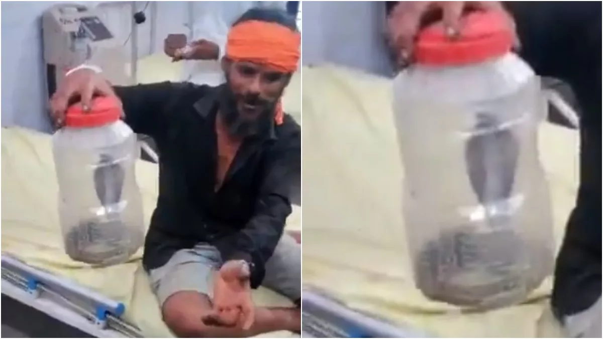 WATCH: Indian man captures cobra that bit him, carries it to hospital in plastic jar, gets right antidote