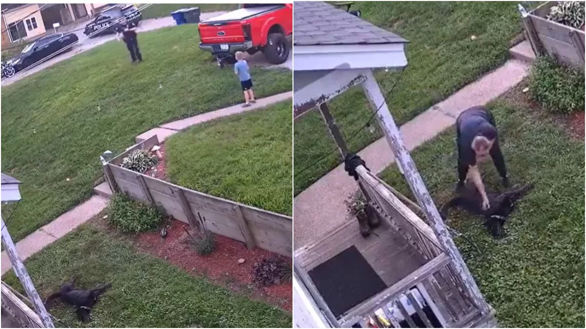 WATCH: US cop fatally shoots pet dog in front of kids; over 1,500 sign petition demanding accountability after video goes viral
