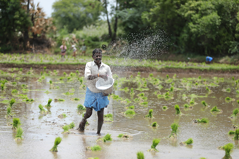The Indian government said it will help to better equip stakeholders, including citizens and last-mile users, in tackling extreme weather events and the impacts of climate change.
