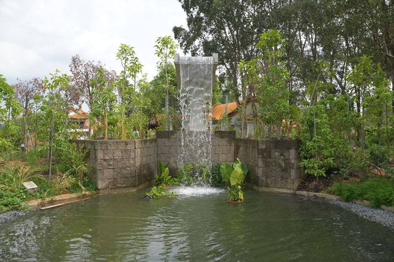 Bamboo Grove and Waterfall, Jurong Lake Gardens