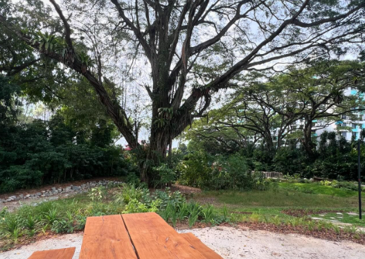 Seats for resting within the new Bidadari Park
