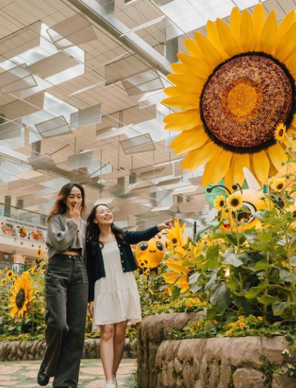 Singapore Changi Airport sunflower display