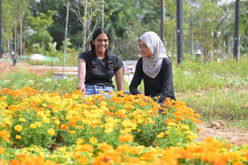 Floral Garden at Japanese Garden, Jurong Lake Gardens