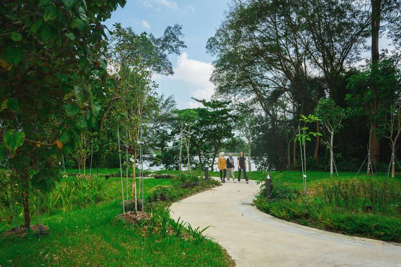 Footpaths made of sustainable concrete, Jurong Lake Gardens