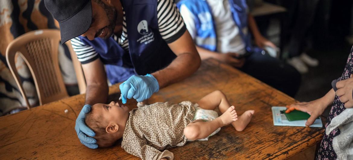 Israel-Palestine: WHO chief hails ‘massive success’ of polio campaign amid tragic reality in Gaza