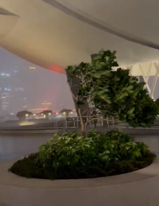 Singapore sees “crazy” weather as rain and storm lash island nation, uproot trees, and lower on-road visibility