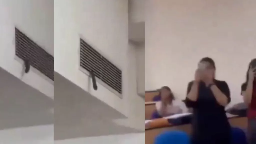 The snake entered the classroom through the air vent. Photo courtesy: Free Press Journal