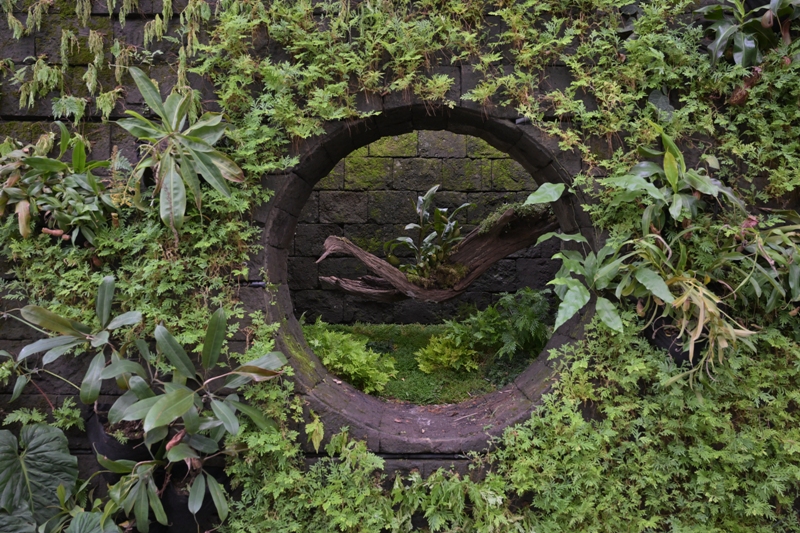 Sunken Garden at Japanese Garden, Jurong Lake Gardens