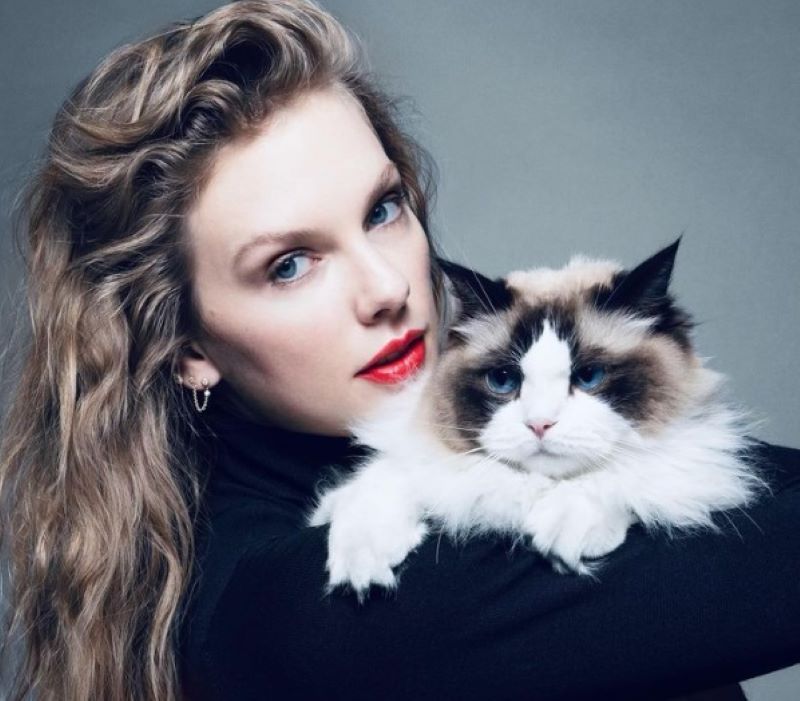 Woman decides to sell three concert tickets of Taylor Swift she bought for endorsing Kamala Harris 