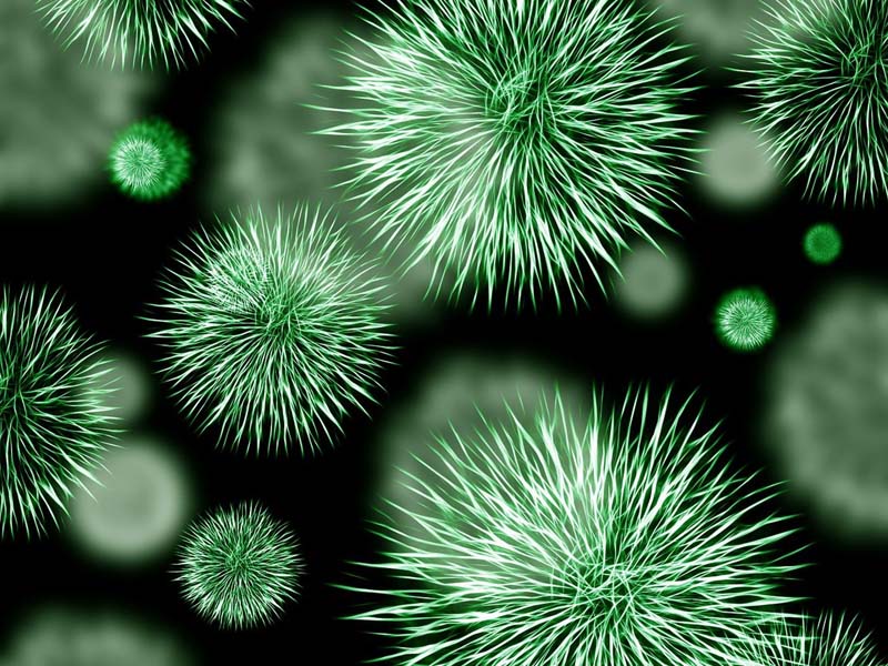 Scientists warn humanity will face a potentially disastrous escalation in resistance to fungal disease if immediate action is not taken
