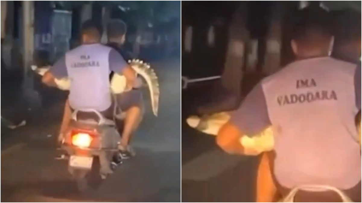 WATCH: Youths take crocodile for a ride on scooter after rescue in western India, video goes viral