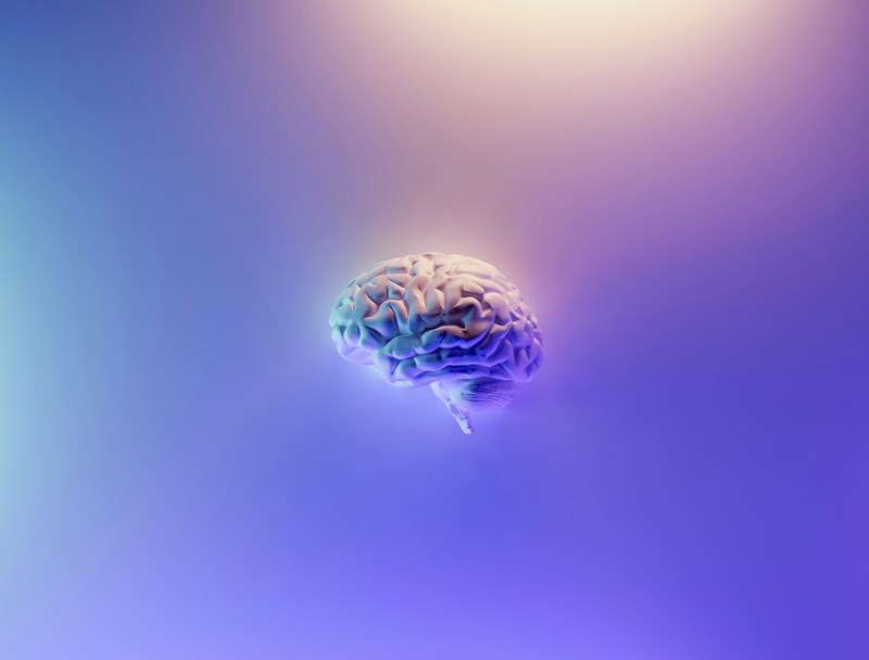 Air pollution, high temperatures, and metabolic risk factors driving global increases in stroke, says study