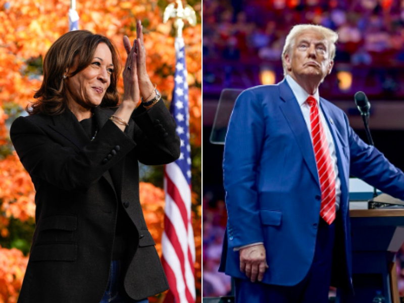 2 in 3 Indian-Americans plan to vote for Kamala Harris; slight uptick in support for Donald Trump: Survey