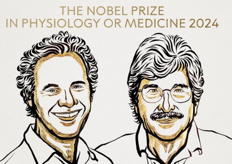 Scientists Victor Ambros and Gary Ruvkun awarded Nobel Prize in Medicine 