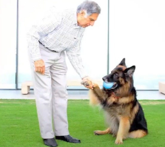 Ratan Tata earmarked special fund for pet dog Tito in USD 1.1 billion will